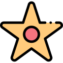 award,entertainment,miscellaneous,star,recognition,famous,fame,walk of fame